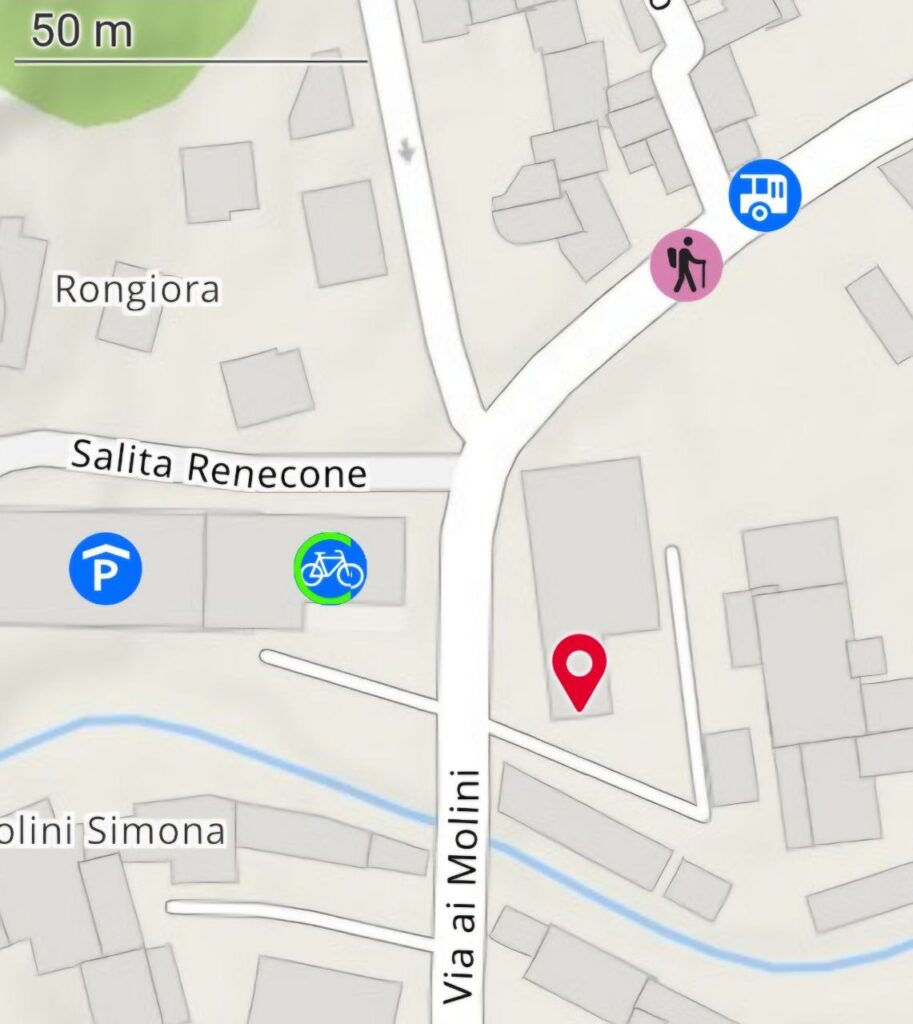 Lageplan Via ai Molini 47 Losone Detail